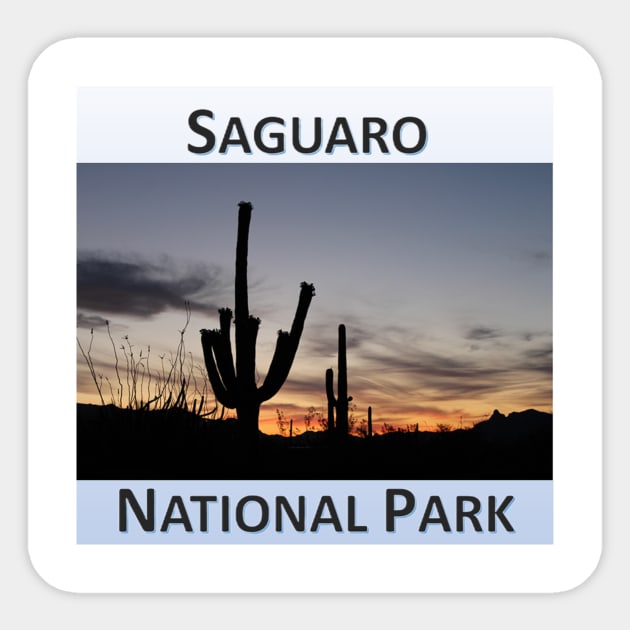 Saguaro National Park Sunrise Sticker by Battlefoxx Living Earth